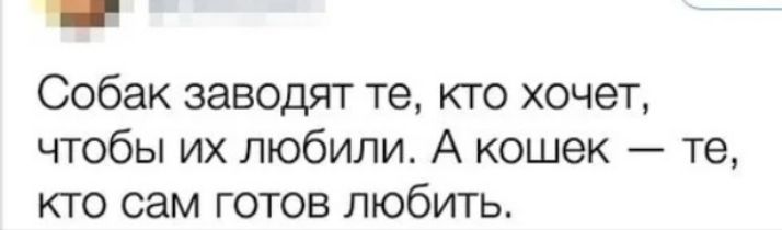 Собак заводят те кто хочет чтобы их любили А кошек те кто сам готов любить