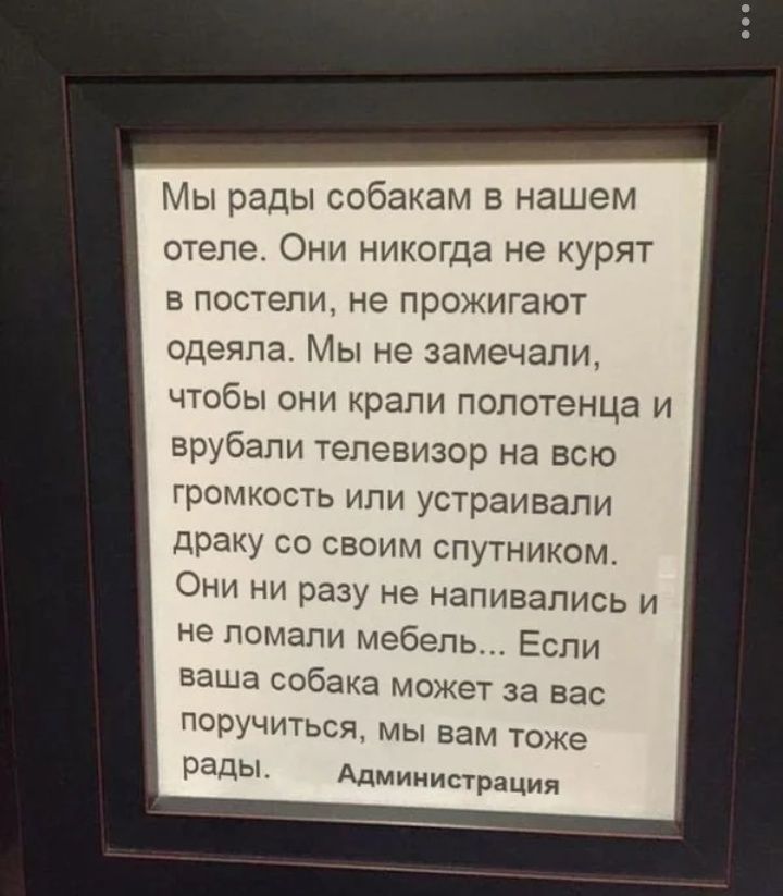 Мы рады собакам в нашем отеле Они никогда не курят в постели не прожигают одеяла Мы не замечали чтобы они крали полотенца и врубапи телевизор на всю громкость ипи устраивали драку со своим спутником Они ни разу не напивались и не помапи мебель Если ваша собака может за вас поручиться мы вам тоже рады Администрация