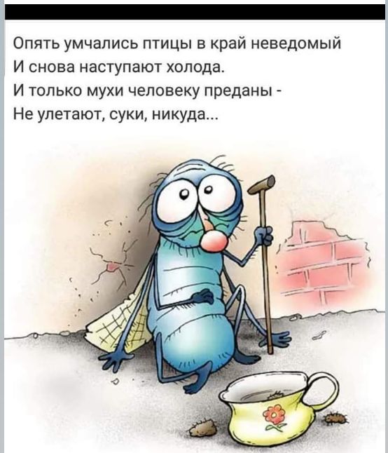 Опять умчапись птицы в край неведомый И снова наступают холода И только мухи человеку преданы Не улетают суки никуда