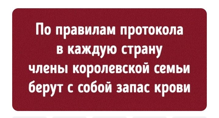 По правилам протокола в каждую страну члены королевской семьи берут с собой запас крови