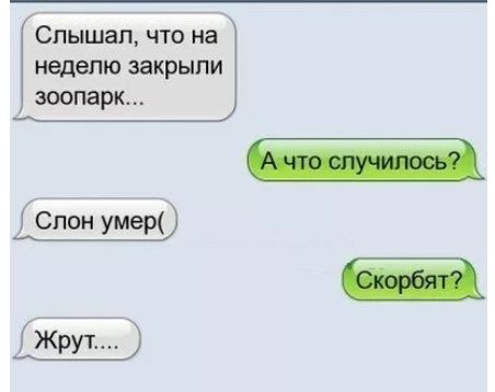 Слышал что на неделю закрыли зоопарк Г Слон умер Жрут