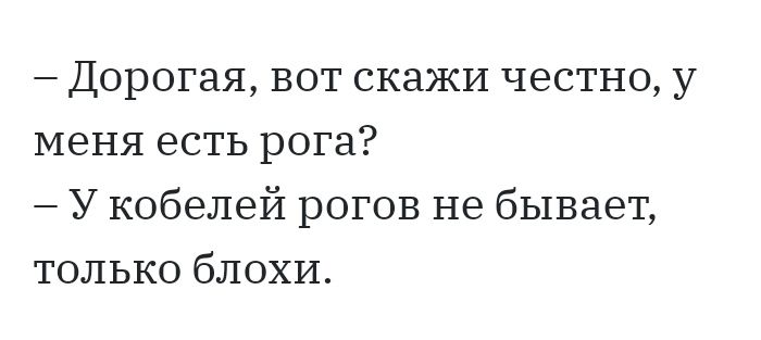 Дорогая вот скажи честно у меня есть рога У кобелей рогов не бывает только блохи