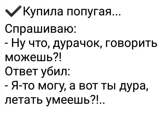 хКупипа попугая Спрашиваю Ну что дурачок говорить можешь Ответ убил Я то могу а вот ты дура летать умеешь