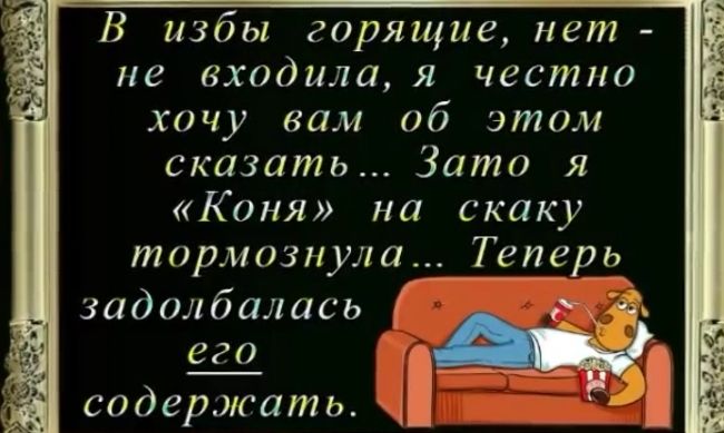 В избы горящие нет не входила я честно хочу вам об этом сказать Зато я Коня на скаку тормознула Теперь задолбалась е_го содержать Ч