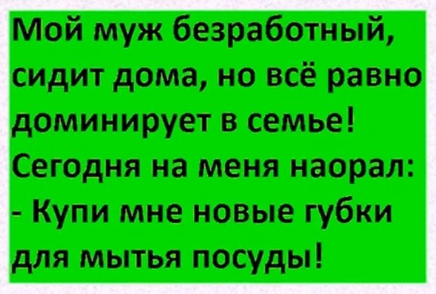 Мой муж безработный сидит дома но всё равно доминирует в семье Сегодня на меня наорал Купи мне новые губки для мытья посуды