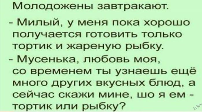 М 0П0Д0ЖЭНЬ завтрака ЮТ Милый у меня пока хорошо получается готовить только тортик и жареную рыбку Мусенька любовь моя со временем ты узнаешь ещё много других вкусных блюд а сейчас скажи мине що я ем тортик или рыбку