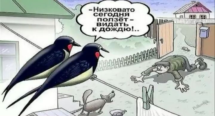 Низковато сегодня ползёт видать к дождю
