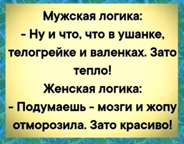 Мужская логика Ну и что что в ушанке ётелогрейке и валенках Затоё тепло Женская логика д Подумаешь мозги и жену Шморозила Зато красна 1 5
