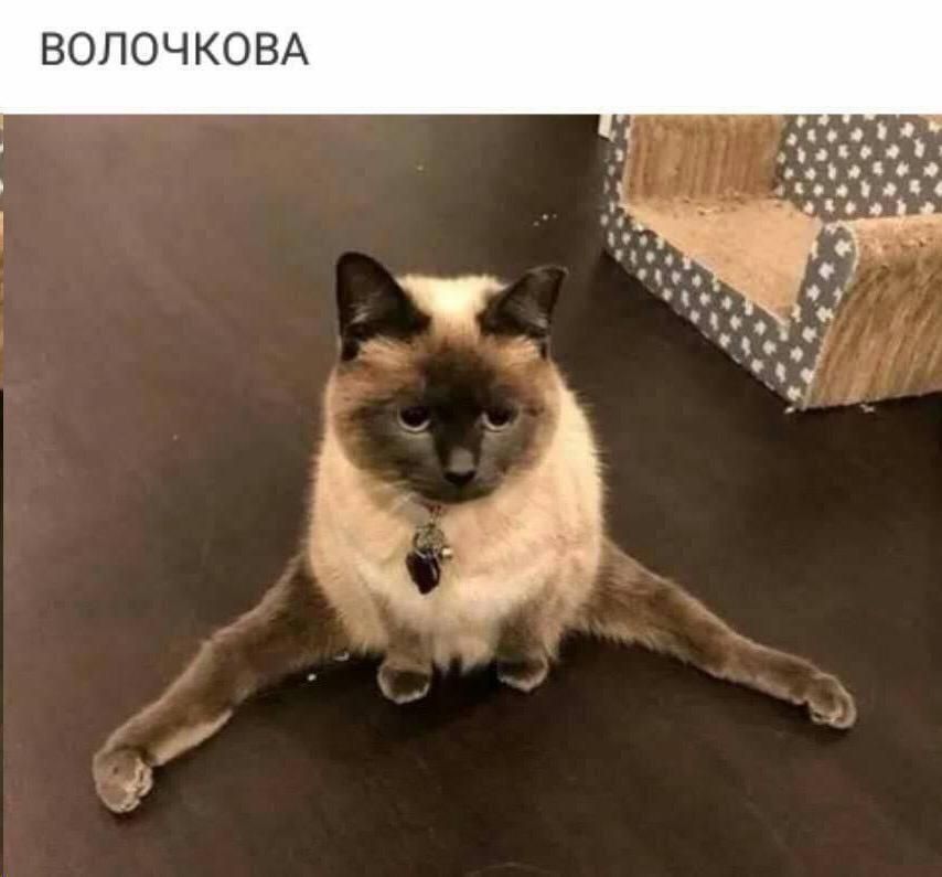 ВОЛОЧКОВА