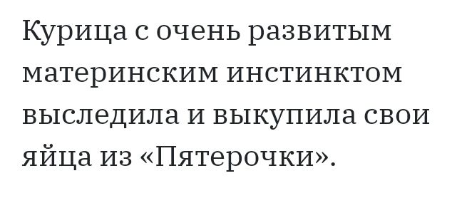 Курица с очень развитым материнским инстинктом выследила и выкупила свои яйца из Пятерочки