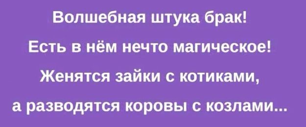 Волшебная штука брак Есть в нём нечто магическое Женятся зайки с котиками разводятся КОРОВЫ С КОЗЛЗМИ