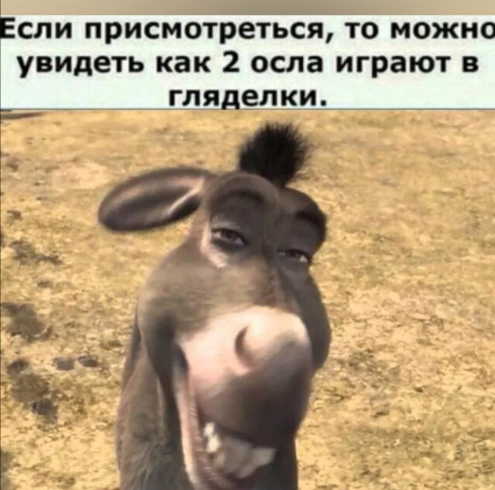 сли присмотреться то можн увидеть как 2 осла играют в гля _елки