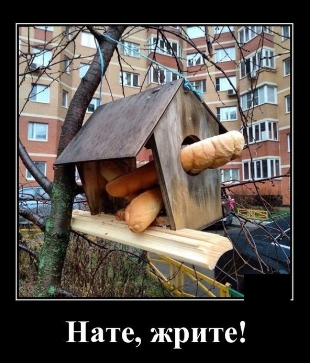 Нате жрите