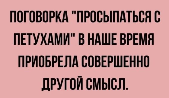 ППГПВОРКА ПРПСЫПАТЬСН С ПЕТУХАМИ В НАШЕ ВРЕМЯ ПРИОБРЕЛА СОВЕРШЕННО ДРУГОЙ СМЫСЛ