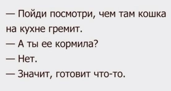 Пойди посмотри чем там кошка на кухне гремит А ты ее кормила Нет Значит готовит что то
