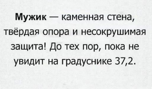 Мужик каменная стена твёрдая опора и несокрушимая защита До тех пор пока не увидит на градуснике 372