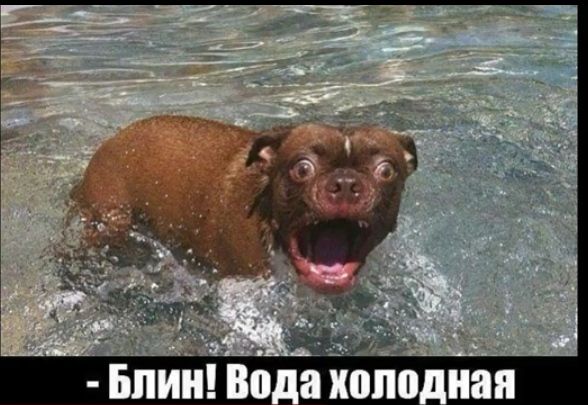 д _ да __ БЛИН Во ШШ ная