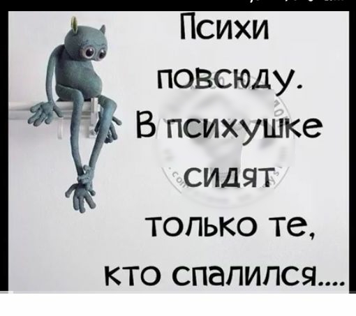 Психи повсюду В психушке сидят только те кто спалился