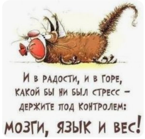 И в идти и в горе КАКОЙ вы ни Был стркс джип под контролем Мозги язык и вес