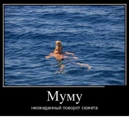 Неожиданный ПОВОРОТ сюжета