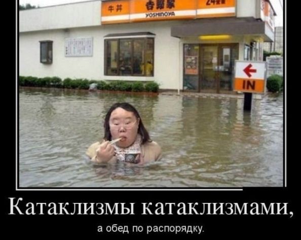 Катаклизмы катаклизмами а обед по распорядку