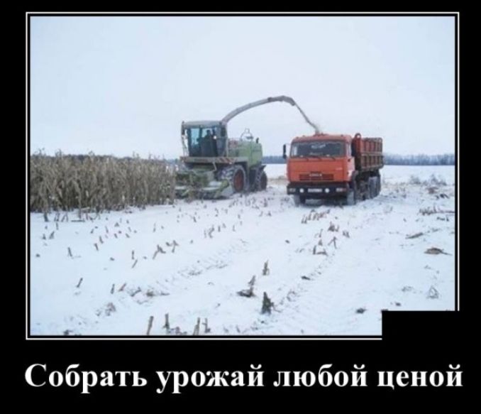 Собрать урожай любой ценой