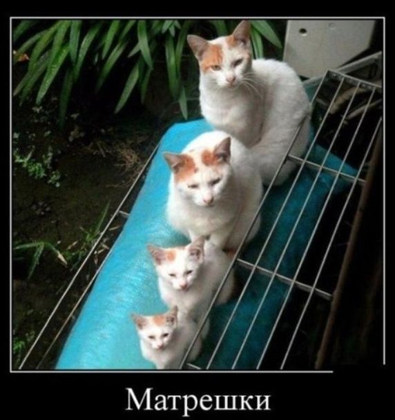 Матрешки