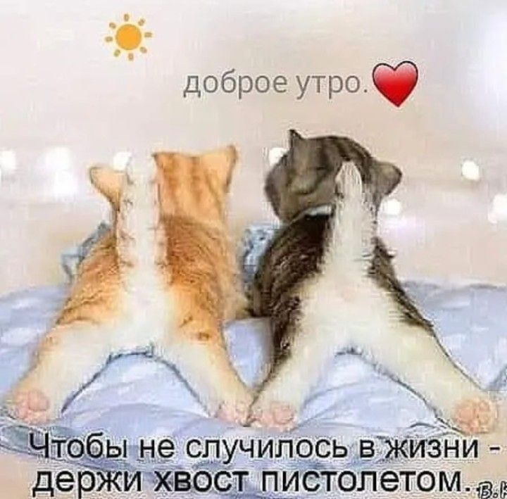 _Ёх і пне СЛУЧИЛОСЬ ВЖИЗНИ Р вещистолетом