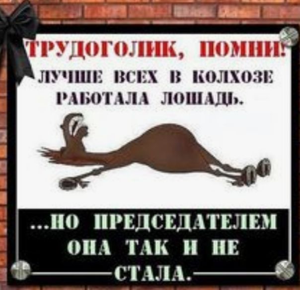 лэчшп пмж в колхозы шшггшм дошли по ирщсвдпшш 3 опл ТАК пв всилы
