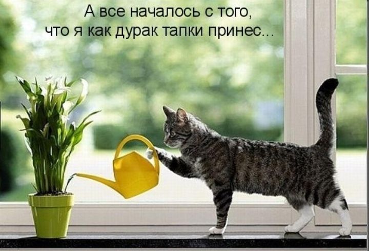 А все НЭЧЗЛОСЬ С ТОГО ЧТО Я как дурак тапки принес