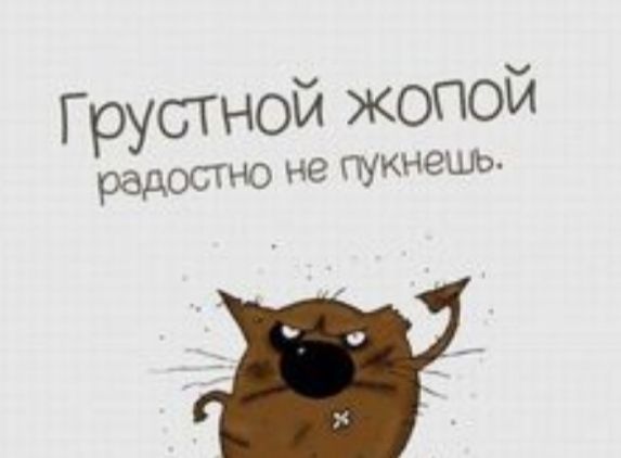 ГруСГНОЙ жопой радосТНО не гтукнешь