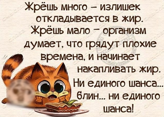 Жрёшь много излишек откладывается в жир Жрёшь мало организм думает что грядут плохие А времена и начинает дА накапливать жир