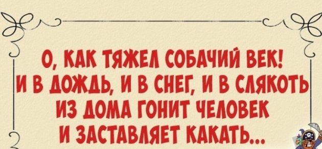мщё 0 КАК ТЯЖЕА СОБАЧИИ ВЕК И В ЮЖДЬ И В СНЕГ И В СИЯКОТЬ ИЗ АОМА ГОИИТ ЧЕЛОВЕК И ЗАСТАВАЯЕТ КАКАТЬ