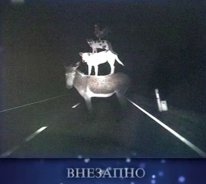 1 внвэАпцб