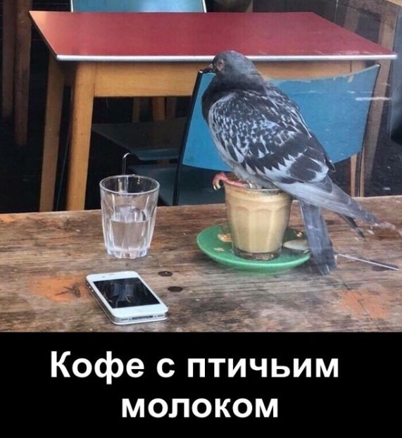 Кофе с птичьим молоком