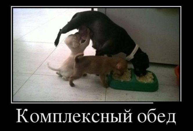 Ы Комплексный обед