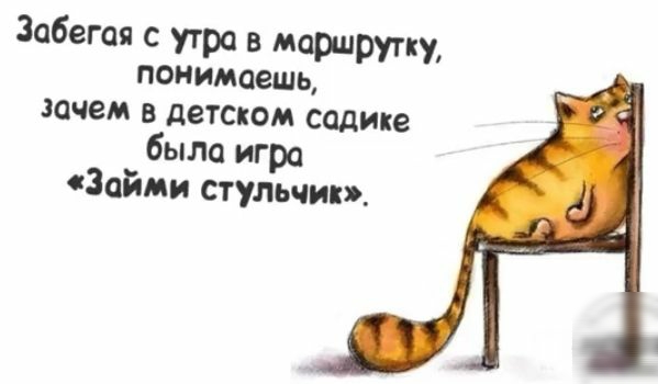 Забегая с утра в маршрутку понимаешь зачем в детском садике была игра Займи стульчик