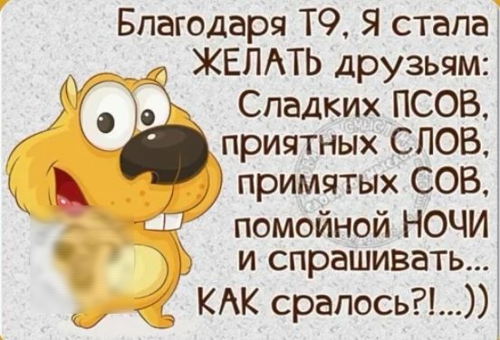 Благодаря ТС Я стала ЖЕЛАТЬ друзьям Спадких ПСОВ приятных СЛОВ примятых СОВ помойной НОЧИ и спрашивать КАК срапось