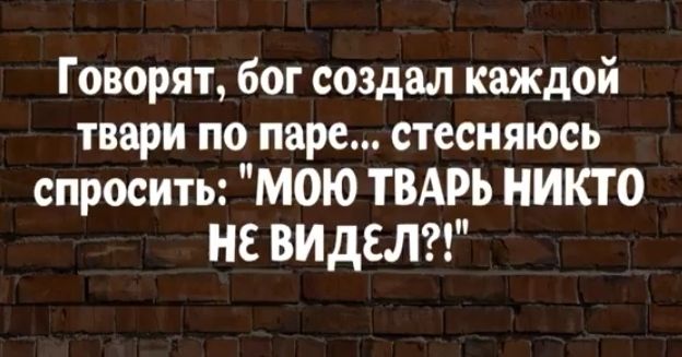 Говорят бог создал каждой твари по паре стесняюсь спросить МОЮ ТВАРЬ НИКТО НЕ ВИДЕЛ