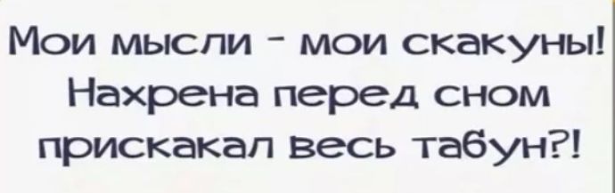 Мои мысли мои скакуны Нахрена перед сном прискакал весь табун