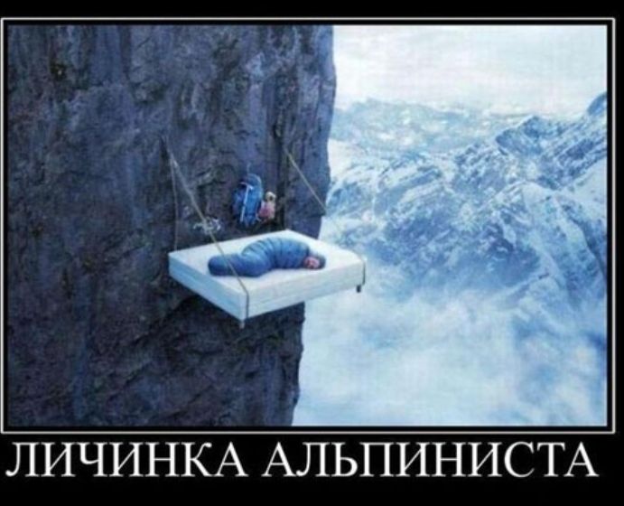 ЛИЧИНКА АЛЬПИНИСТА