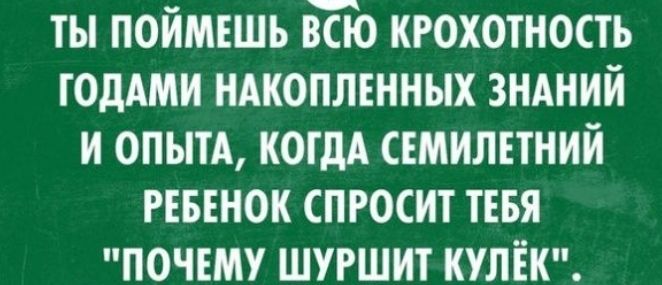 ты поймвшь Йо кгохотность годАми ндкопмнных зндний и опыт когдА семилетний РЕБЕНОК спросит ТЕБЯ почему шуршит КУЛЁК