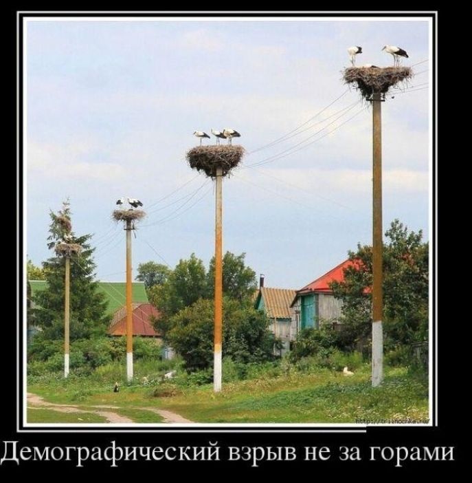 Демографический взрыв не за горами