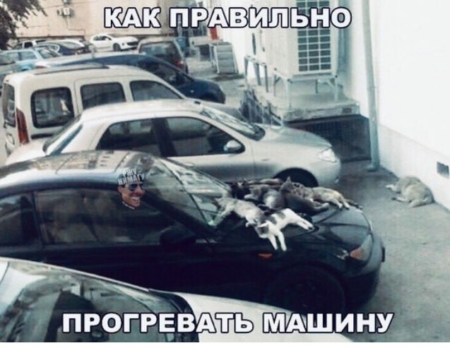 за нг г д ъ _