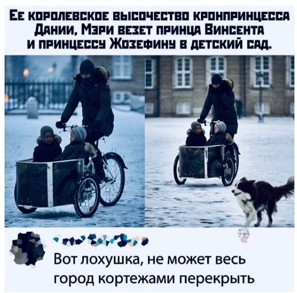 Е кпиппнвпкп ныппчитвп кипипииицвппп дпнии Мани винт принца Вишнтп и принципы Жвании липкий пдд 7 Ф Вот лохушка не может весь город кортежами перекрыть