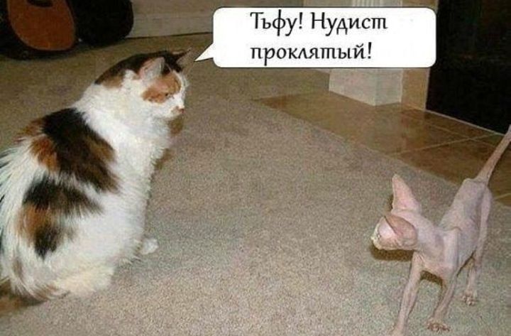Тьфу Нудист прошитый