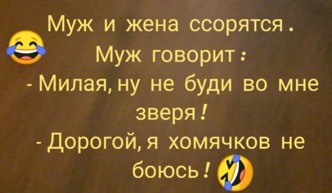 Муж и жена ссорятся Муж говорит Милая ну не буди во мне зверя Дорогойя хомячков не боюсь