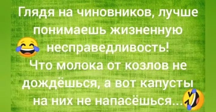 Глядя на чиновников лучше