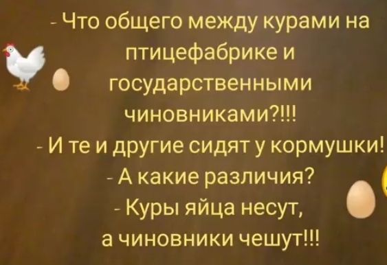 Что общего между курами на птицефабрике и государственными чиновниками И те и другие сидят у кормушки А какие различия Куры яйца несут а чиновники чешут