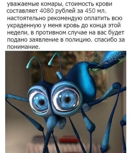 уважаемые комары стоимость крови составляет 4080 рублей за 450 мл настоятельно рекомендую оплатить всю украденную у меня кровь до конца этой недели в противном случае на вас будет ПОДЗНО ЗЗЯВПЕНИЕ Е ПОПИЦИЮ спасибо за понимание